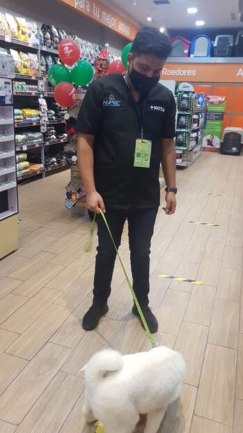 Foto: Twitter @MaskotaMexico