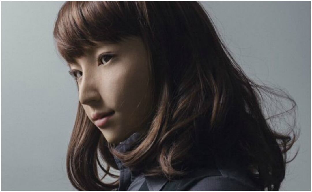 La foto quiso plantear la pregunta "¿qué es ser humano y qué es estar vivo?". También fue su intención llamar la atención sobre "la rápida difuminación de los límites entre el hombre y la máquina".