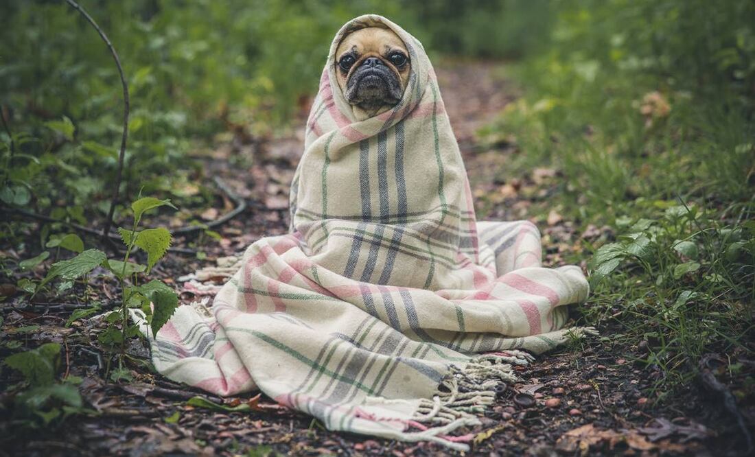 Clima CDMX y Edomex ¿A qué hora hará más frío?