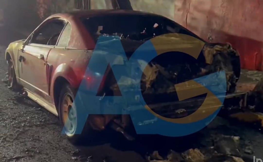 Boletos falsos de Bad Bunny. Foto: Captura de video @AleGon_27