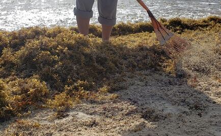 En marzo, simposium internacional para encarar sargazo