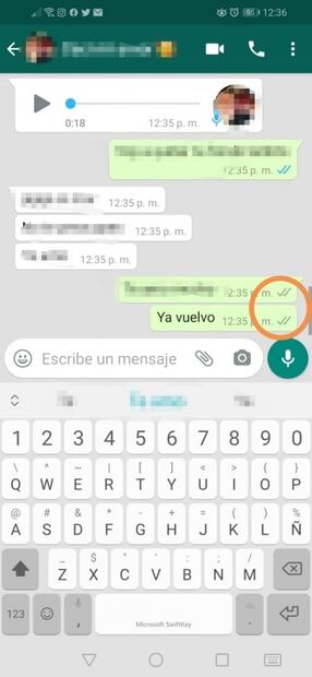El significado de las palomas grises en WhatsApp