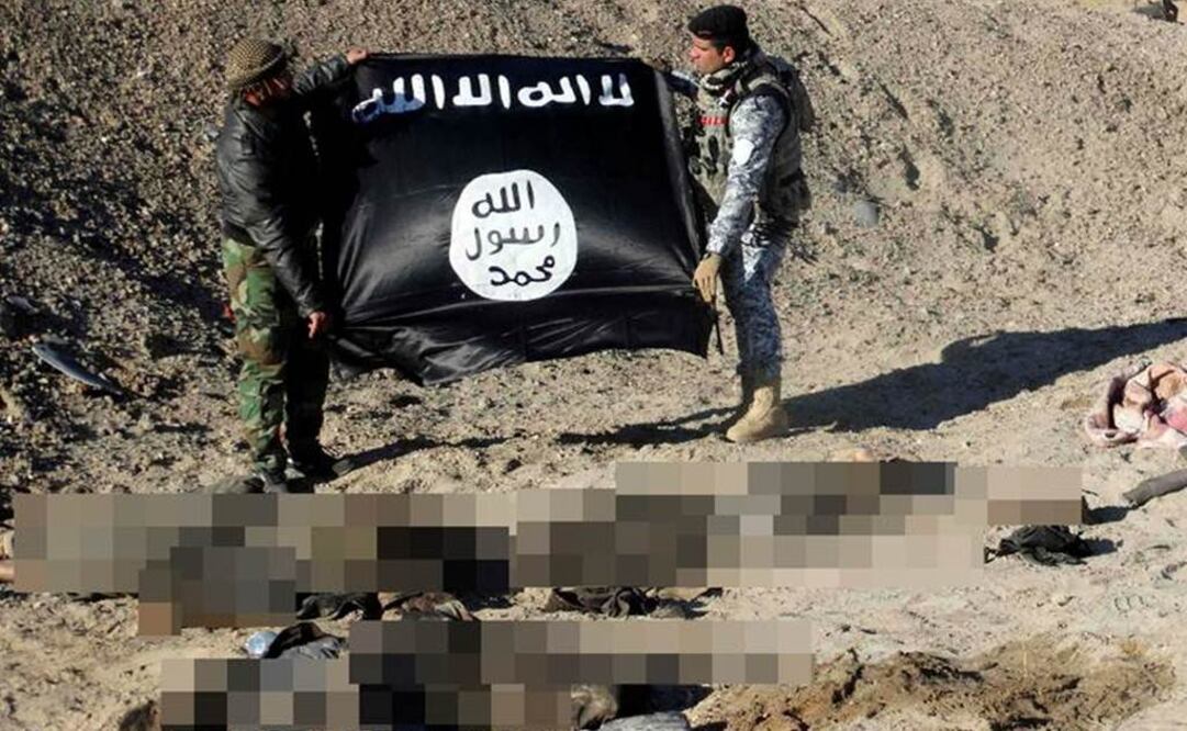 EI cosecha órganos, alertan