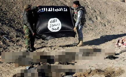 EI cosecha órganos, alertan