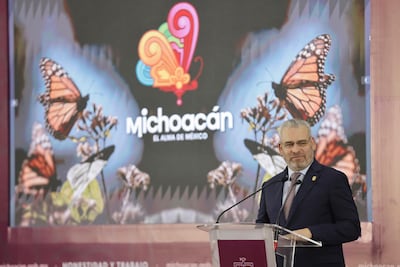 Prevén llegada de medio millón de visitantes a santuarios de la mariposa monarca en Michoacán