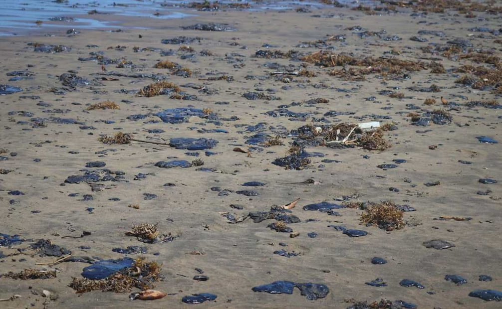 La organización Greenpeace señaló que el derrame de petróleo se extiende en Tamiahua, Tuxpan, y Cazones, afectado el Corredor Arrecifal del Suroeste del Golfo de México. Los daños suman un total de 630 kilómetros de línea de sota. Foto: Cortesía Greenpeace/ Cuartoscuro