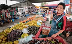 En la informalidad, más de la mitad de los trabajadores