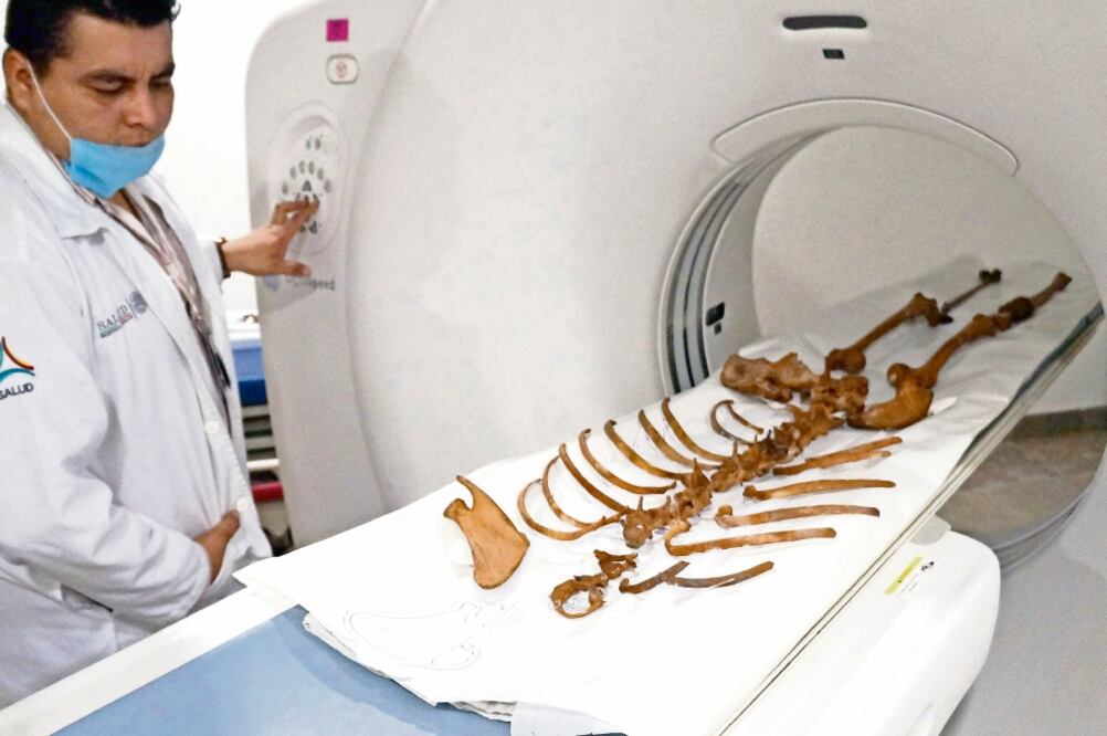 “Na ia” tenía entre 15 y 17 años. Su antigüedad se calculó entre 13 mil y 12 mil años, de acuerdo a los estudios realizados al esqueleto (CORTESÍA INAH)