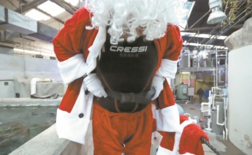 En Navidad submarina, Santa deja trineo