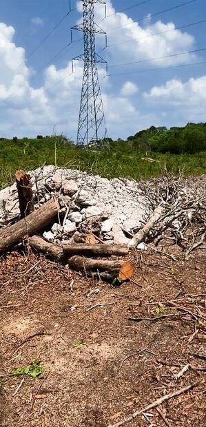 Restos de unidad habitacional maya que estuvo enterrada más de mil años. Foto: Fernando Cortés