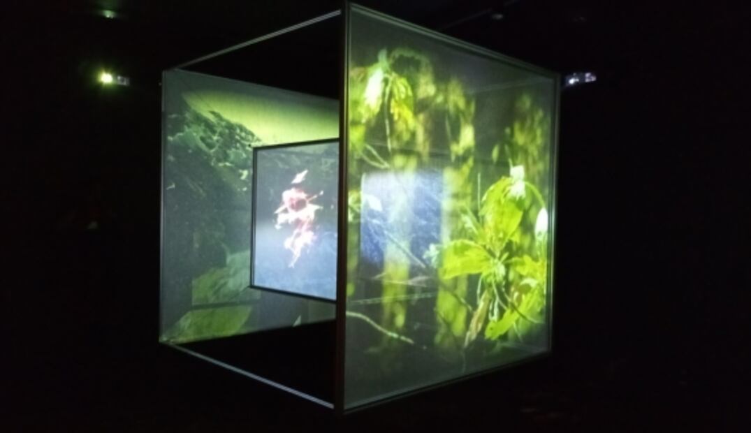 Economía y reflexión cultural en la exposición “Mercados desde el arte contemporáneo”