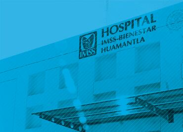 lMSS-Bienestar, sin capacidad para sustituir al Insabi