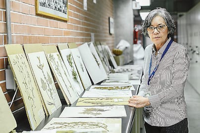 MEXU, la biblioteca verde de México