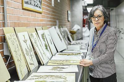 MEXU, la biblioteca verde de México