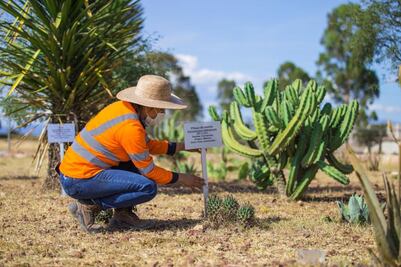 "El cuidado del ambiente es prioridad para CEMEX"