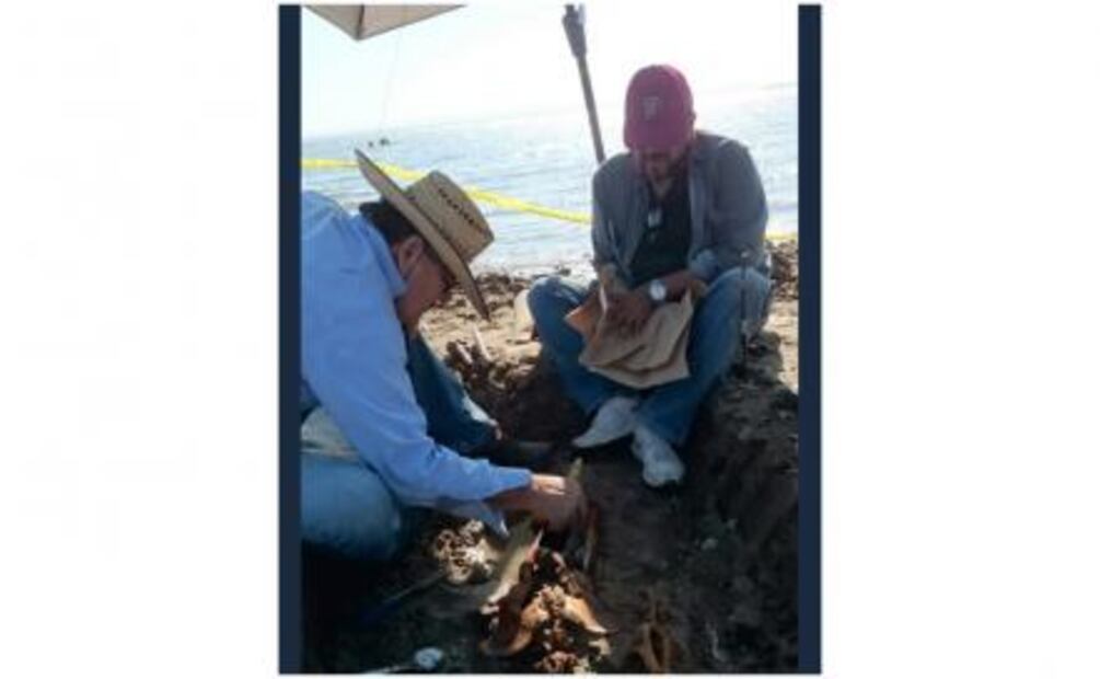 Descubren restos prehispánicos en una playa de La Paz