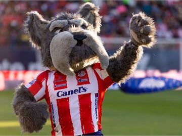 ¿Por qué es un perro? La noble causa detrás de la mascota del Atlético de San Luis