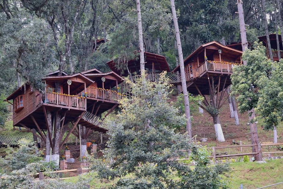 Foto: Cabañas Kali-Tree