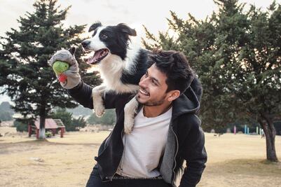 Un perro llega al cine gracias a Internet