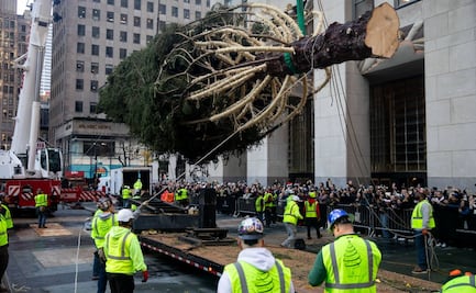 El árbol de Navidad más popular de Nueva York llega al Rockefeller Center