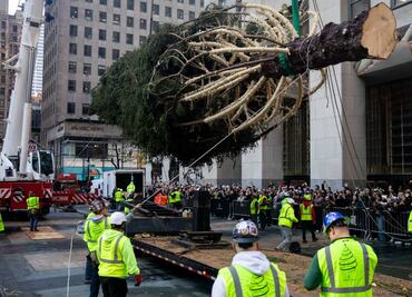 El árbol de Navidad más popular de Nueva York llega al Rockefeller Center