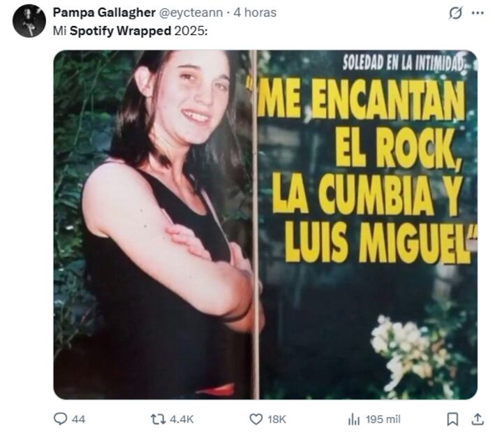 Foto: Captura de Pantalla X.