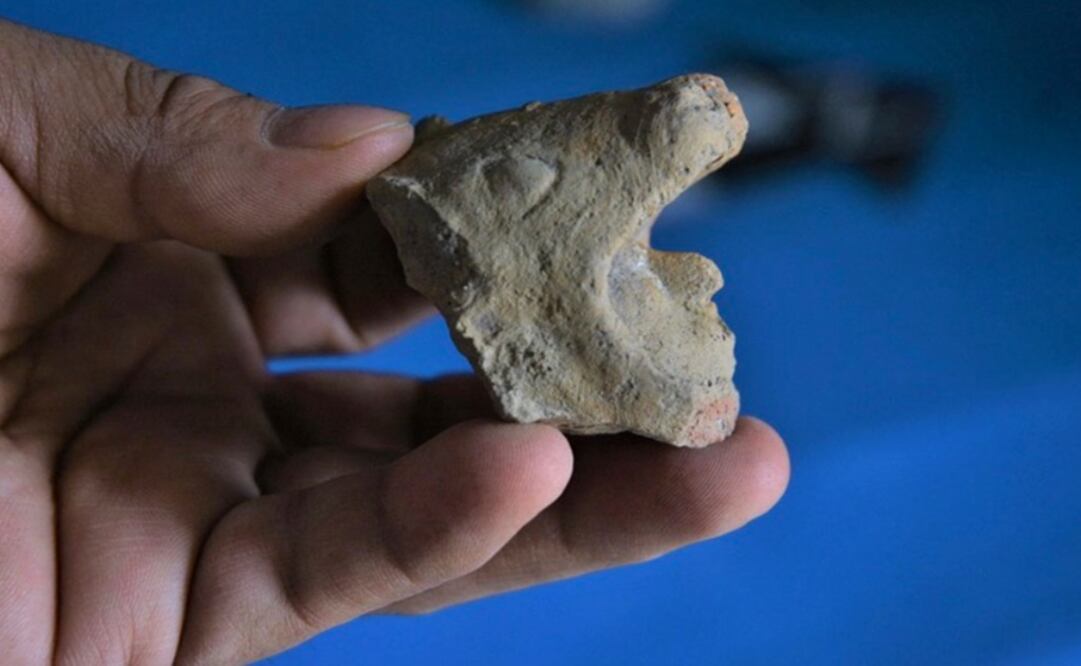 Archeologists have made several findings in the area - Photo: Taken from INAH's website
