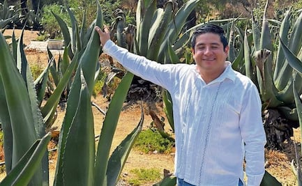 Buscan recuperar la producción de pulque