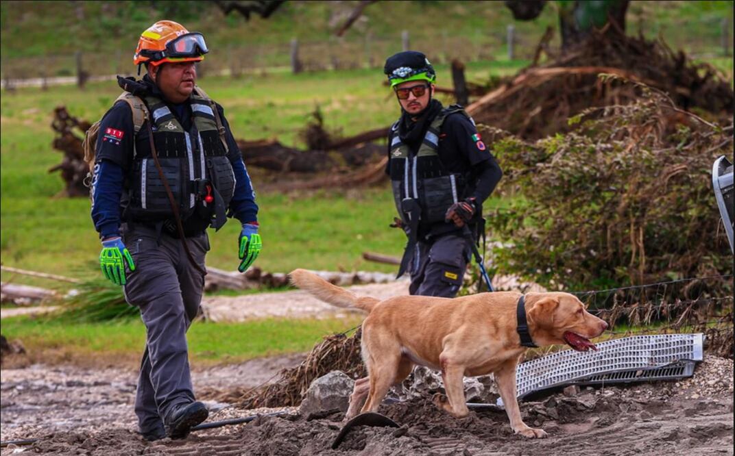 Rescatistas y la guardia canina de Nuevo León iniciaron labores de búsqueda de personas en Texas, Estados Unidos, tras las inundaciones que han dejado más de 100 muertos y decenas de desaparecidos, el miércoles 9 de julio de 2025. Foto: especial