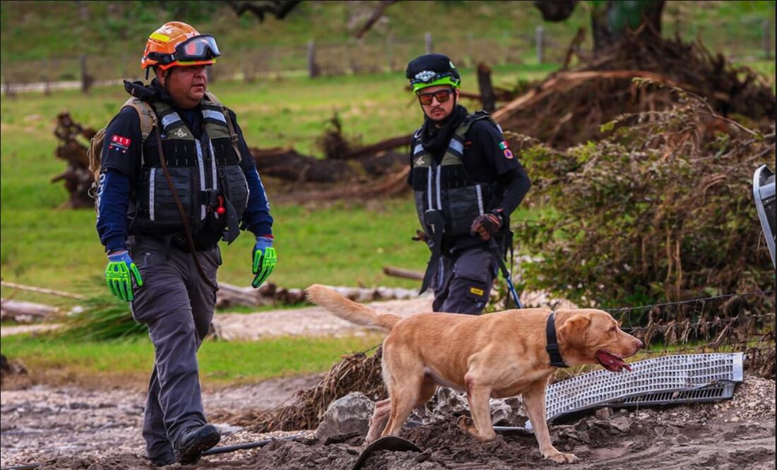 Rescatistas y la guardia canina de Nuevo León iniciaron labores de búsqueda de personas en Texas, Estados Unidos, tras las inundaciones que han dejado más de 100 muertos y decenas de desaparecidos, el miércoles 9 de julio de 2025. Foto: especial