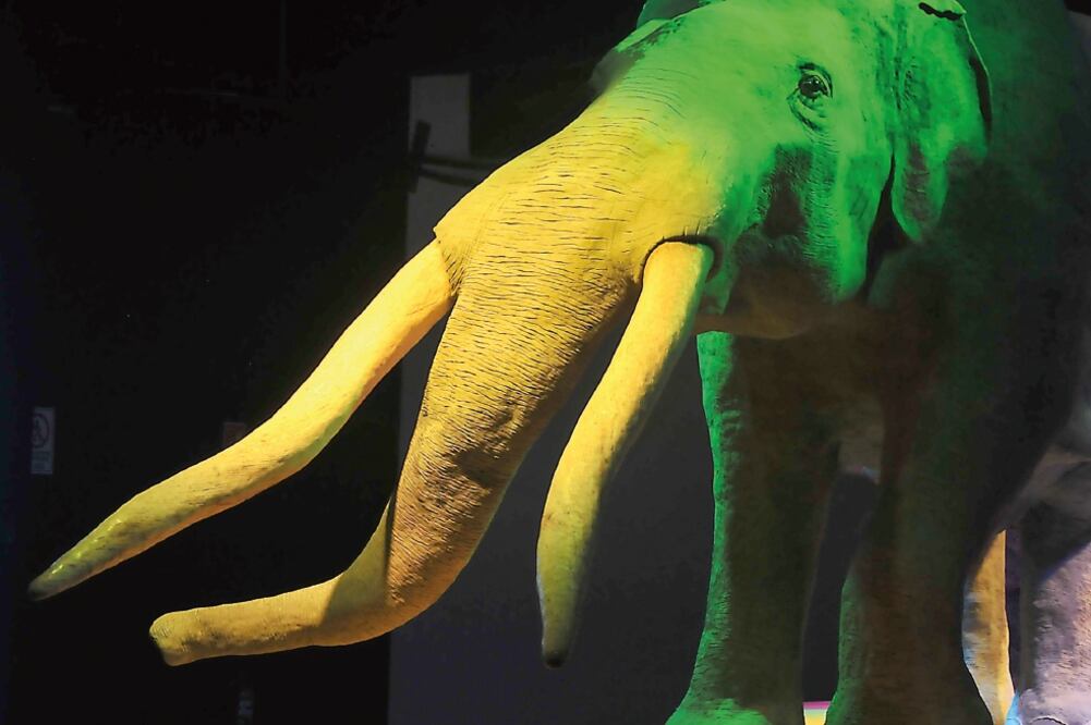 Se recrea la vida de diversas especies (CORTESÍA CONACULTA)