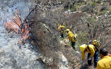 Incendio forestal amenaza a 10 comunidades del sur de Nuevo León