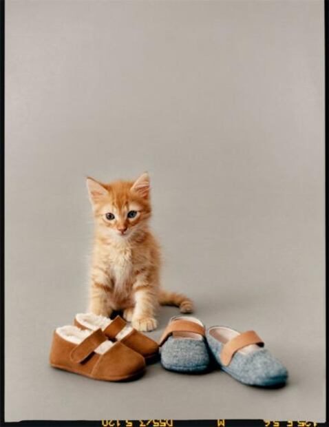 Perros y gatos son protagonistas en la nueva colección de Zara