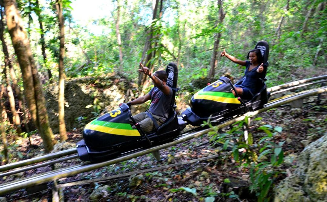 Conoce el bobsled tropical