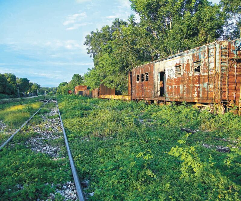 El primer tramo del Tren Maya tiene una extensión de 237 kilómetros y correrá de Palenque, Chiapas, a Escárcega, Campeche. Foto: ARCHIVO EL UNIVERSAL