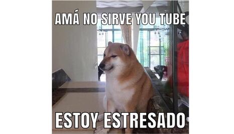 No era el módem... caída de YouTube deja corajes y memes