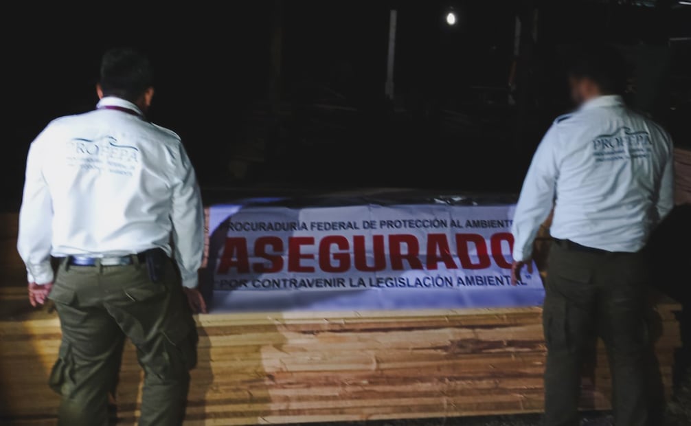 Aseguramiento de madera ilegal y de dos aserraderos en Chiapas. Foto: Procuraduría Federal de Protección al Ambiente (Profepa).