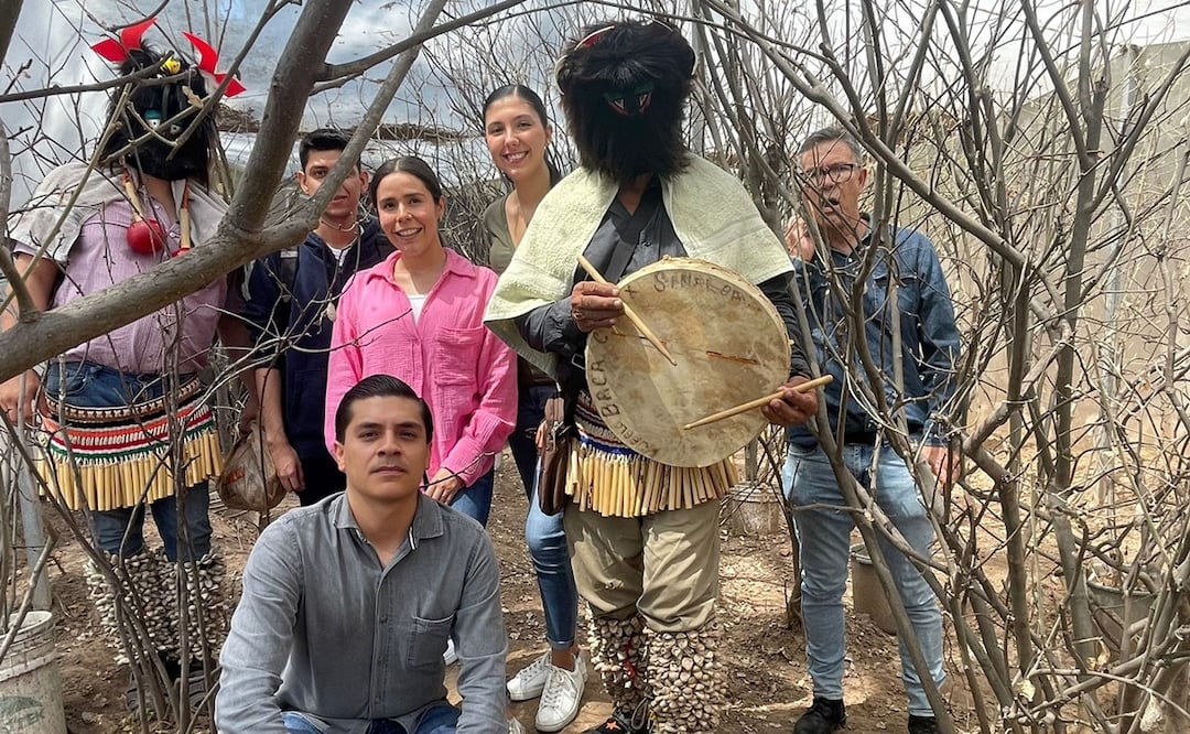Comunidad Mayo-Yoreme en Sinaloa recibe 600 capullos de mariposa para ceremonias tradicionales. Foto: Oficial