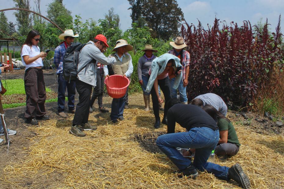 Chinampas en Xochimilco