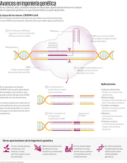 Fuente: Univerdad de Cambrige