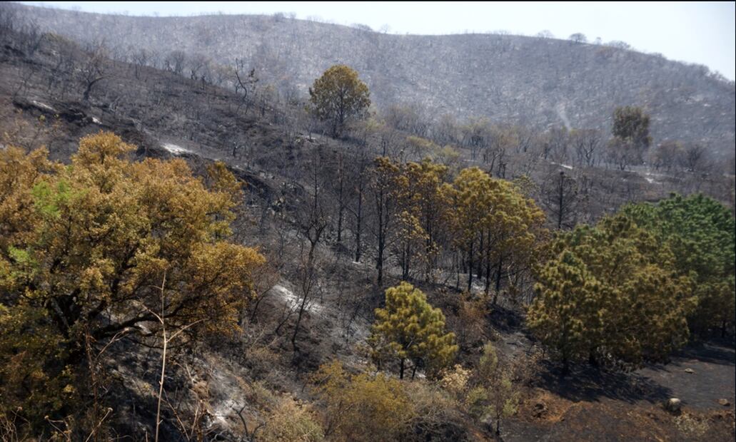 Pobladores intentan apagar un incendio forestal con cubetas de agua en Santo Domingo Tomaltepec, Oaxaca, el sábado 12 de abril de 2025. Foto: Edwin Hernández/EL UNIVERSAL