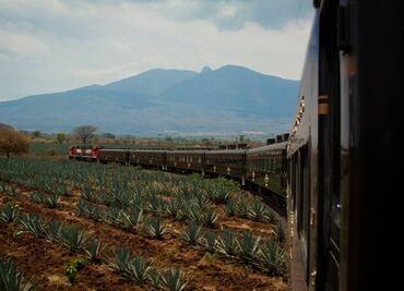 Trenes temáticos: Tequila Express vs. José Cuervo Express