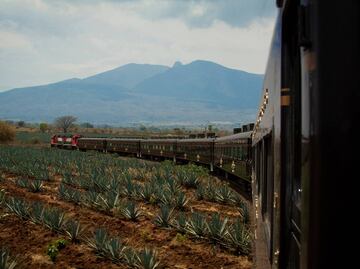 Trenes temáticos: Tequila Express vs. José Cuervo Express