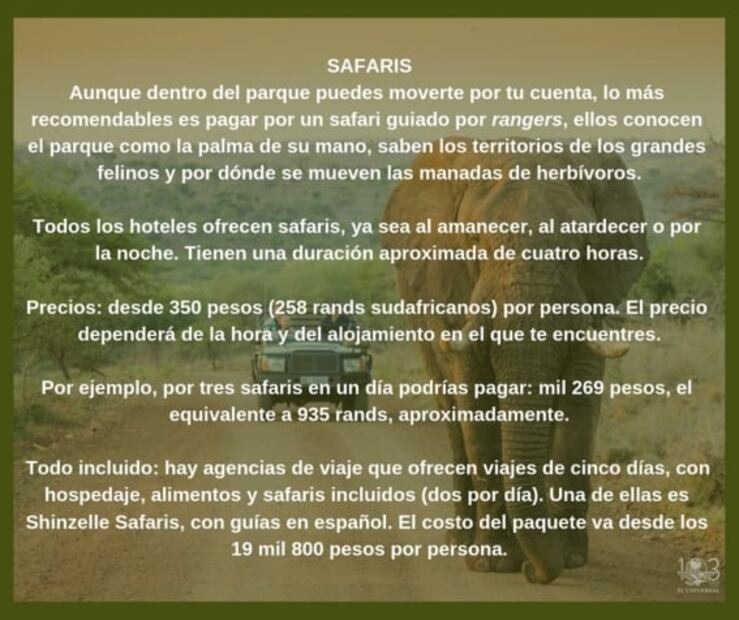 Cuánto cuesta irte de safari por Sudáfrica