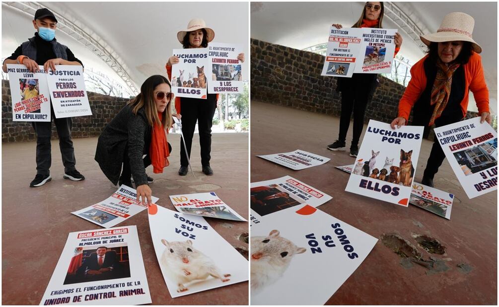 Foto: Jorge Alvarado / EL UNIVERSAL