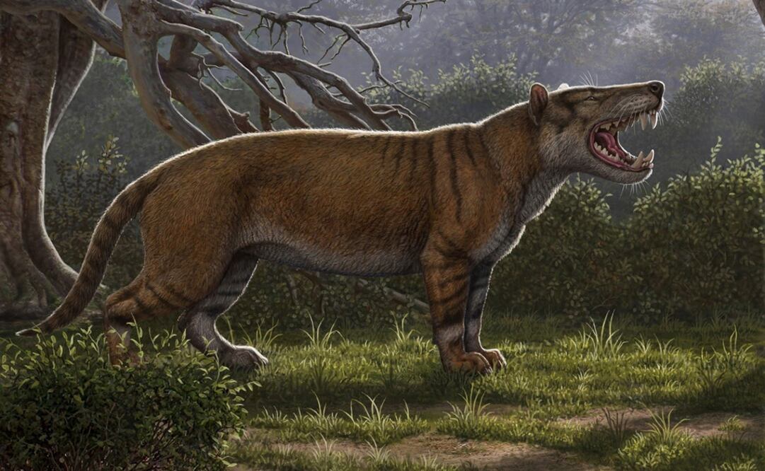 Foto: EFE/ Museo Nacional de Nairobi