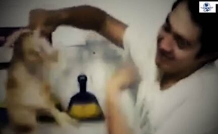 Maskota: mínima, sanción a ex empleados por maltrato