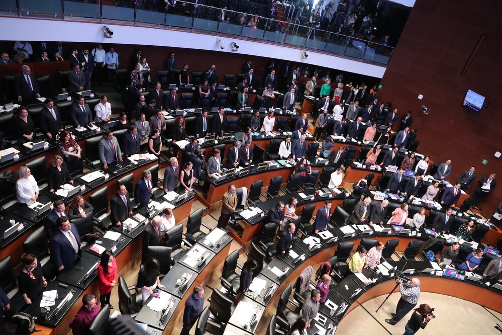 Sesión del Senado. Foto: Archivo