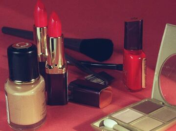 Morena propone sancionar de 2 a 7 años de prisión a quien use animales en pruebas cosméticas