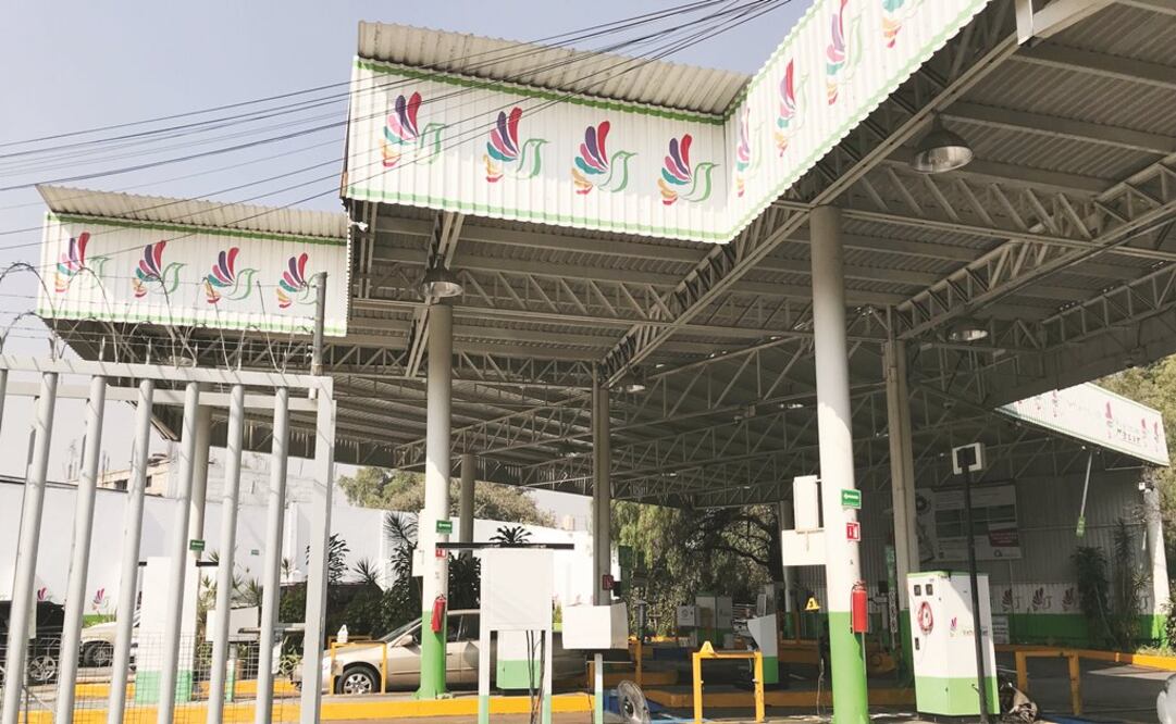 Foto: Archivo. EL UNIVERSAL